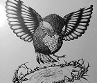 立つ鳥の心得